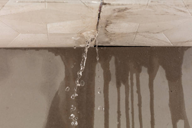 Professional Burst Pipe Cleanup technician working in Alamo, TX